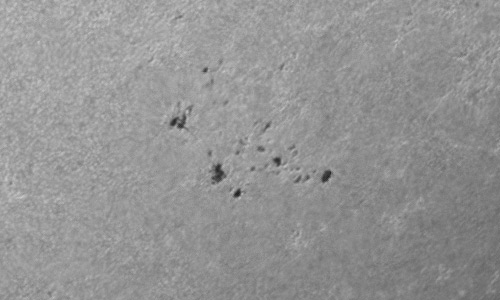 2024年4月23日の黒点（活動領域13638）