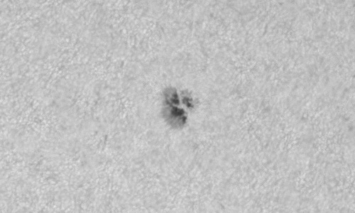 2024年4月23日の黒点（活動領域13644）