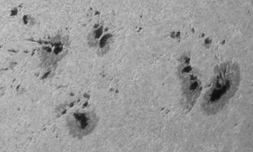 2024年4月23日の黒点（活動領域13645）