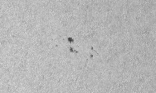 2024年4月23日の黒点（活動領域13648）