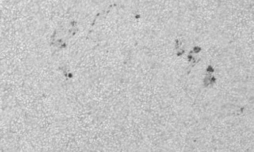 2024年4月23日の黒点（活動領域13650）