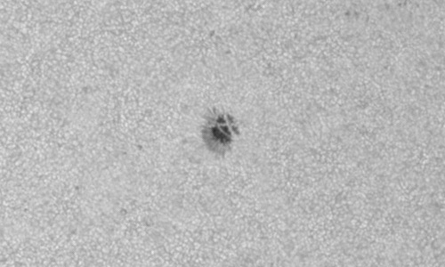 2024年4月24日の黒点（活動領域13644）