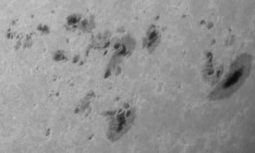 2024年4月24日の黒点（活動領域13645）