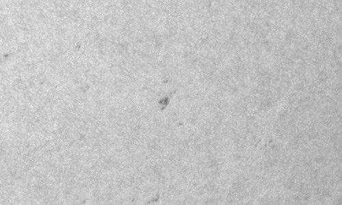 2024年4月24日の黒点（活動領域13650）