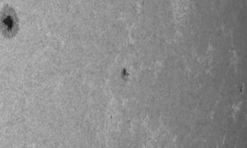 2024年4月27日の黒点（活動領域13644）