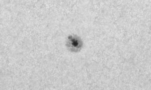 2024年4月27日の黒点（活動領域13655）