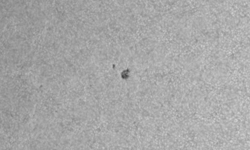 2024年5月5日の黒点（活動領域13665）