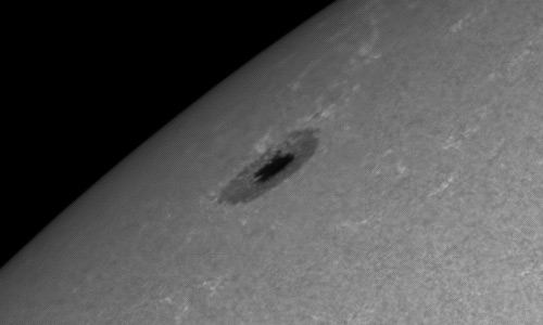 2024年5月5日の黒点（活動領域13667）