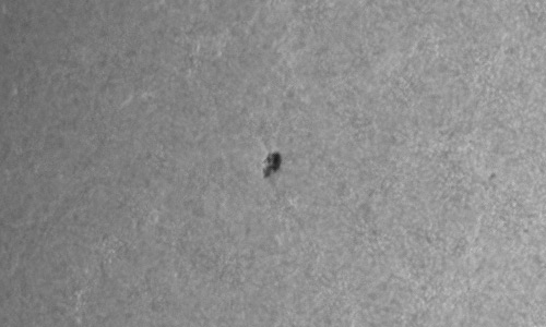 2024年5月5日の黒点（活動領域13669）