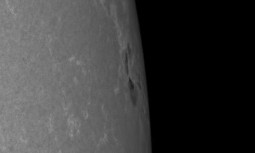 2024年5月10日の黒点（活動領域13663）