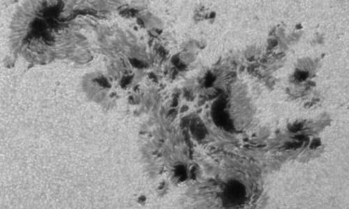 2024年5月10日の黒点（活動領域13664）