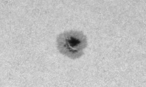 2024年5月10日の黒点（活動領域13667）