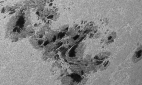 2024年5月11日の黒点（活動領域13664）