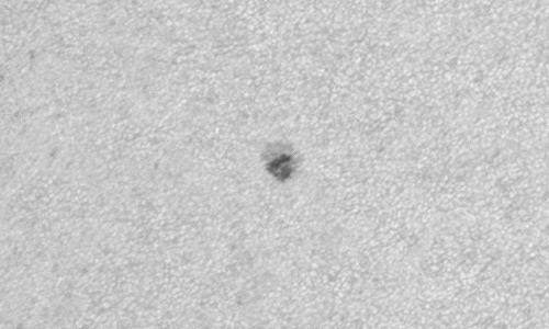 2024年5月15日の黒点（活動領域13673）