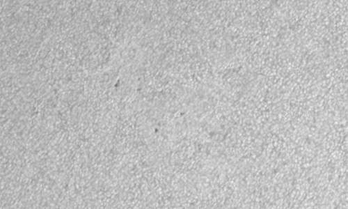 2024年5月15日の黒点（活動領域13678）