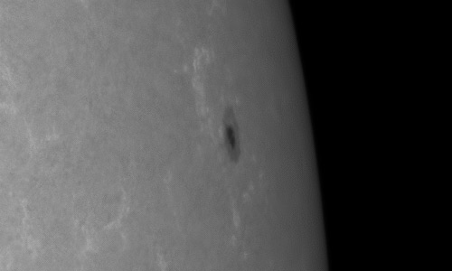 2024年5月16日の黒点（活動領域13667）