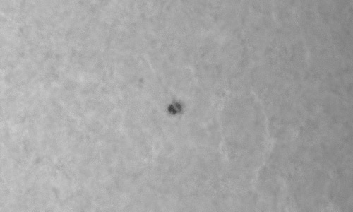 2024年5月18日の黒点（活動領域13672）