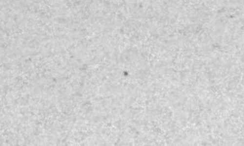 2024年5月18日の黒点（活動領域13682）