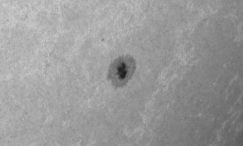 2024年5月21日の黒点（活動領域13674）