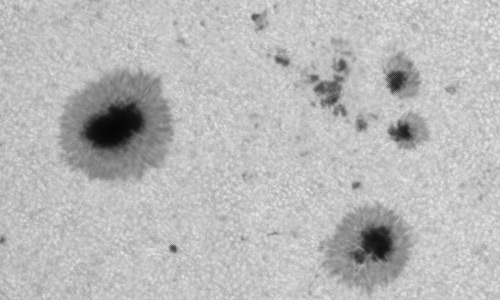 2024年5月21日の黒点（活動領域13685）