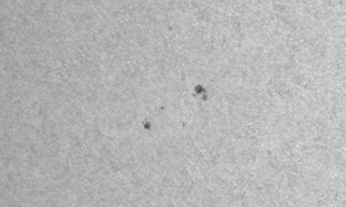 2024年5月21日の黒点（活動領域13688）