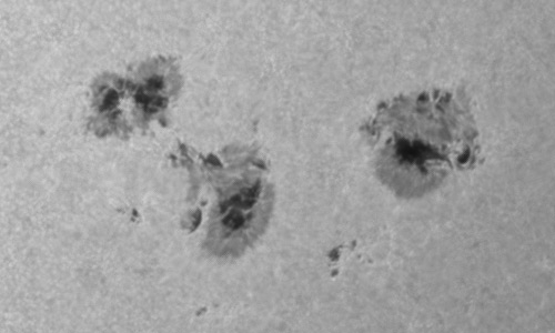 2024年5月22日の黒点（活動領域13679）