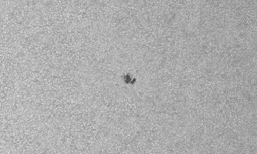 2024年6月1日の黒点（活動領域13690）