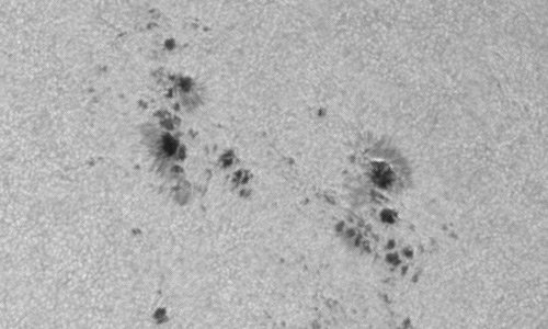 2024年6月1日の黒点（活動領域13691）