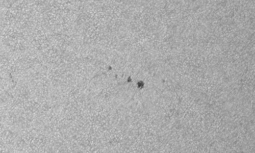 2024年6月1日の黒点（活動領域13693）