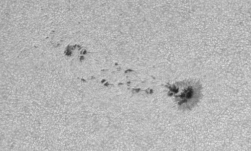 2024年6月1日の黒点（活動領域13698）