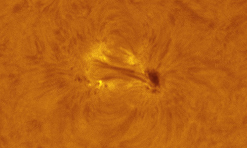 2024年6月1日の活動領域13696