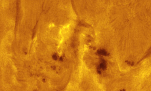 2024年6月1日の活動領域13697