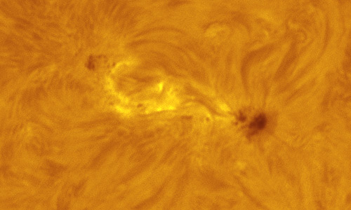 2024年6月1日の活動領域13698