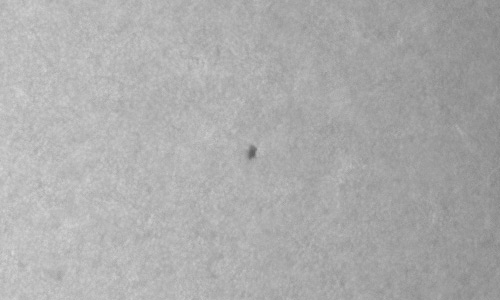 2024年6月2日の黒点（活動領域13690）