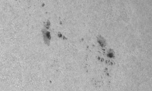 2024年6月2日の黒点（活動領域13691）