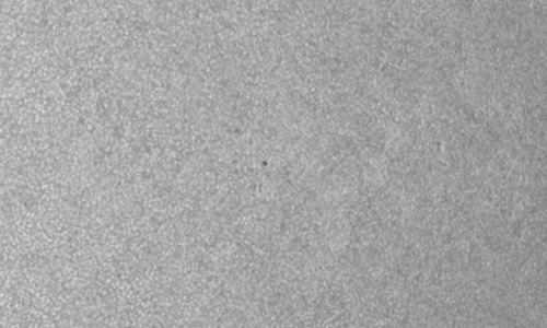 2024年6月2日の黒点（活動領域13693）