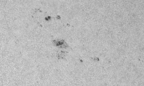 2024年6月2日の黒点（活動領域13695）