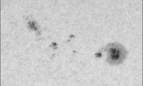 2024年6月2日の黒点（活動領域13698）