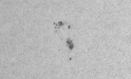 2024年6月2日の黒点（活動領域13701）