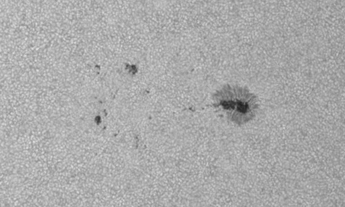 2024年6月3日の黒点（活動領域13699）