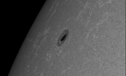 2024年6月3日の黒点（活動領域13702）