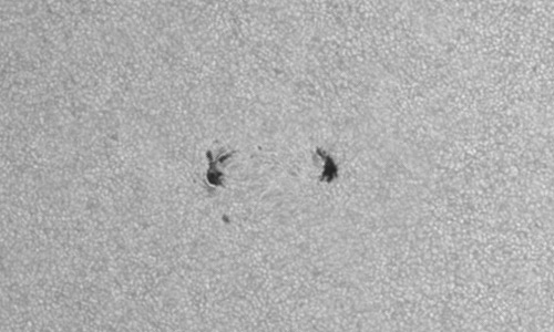 2024年6月4日の黒点（活動領域13703）