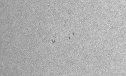 2024年6月4日の黒点（活動領域13706）