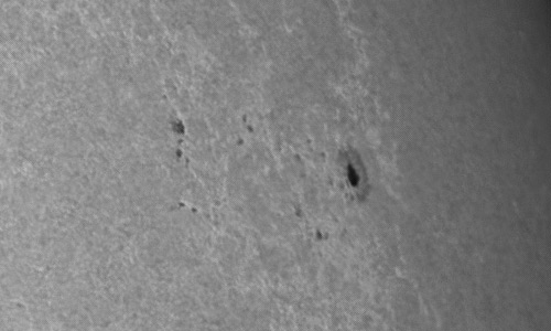 2024年6月4日の黒点（活動領域13691）