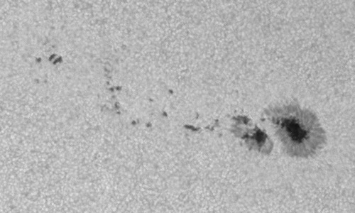 2024年6月4日の黒点（活動領域13698）