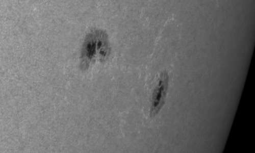 2024年6月4日の黒点（活動領域13700）