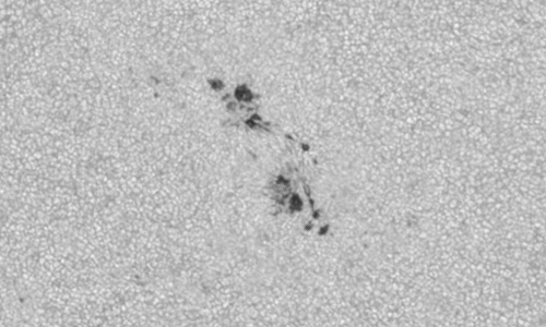 2024年6月4日の黒点（活動領域13701）