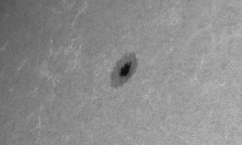 2024年6月4日の黒点（活動領域13702）