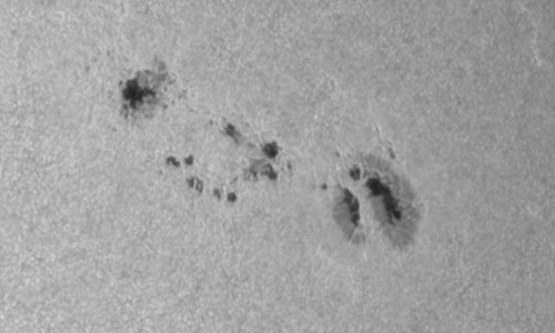 2024年6月6日の黒点（活動領域13698）