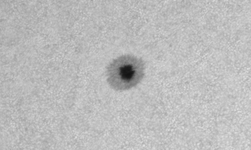 2024年6月6日の黒点（活動領域13702）